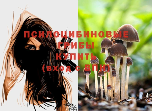 прущий лед Алзамай