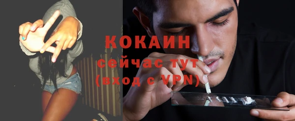 соль ск Алексин