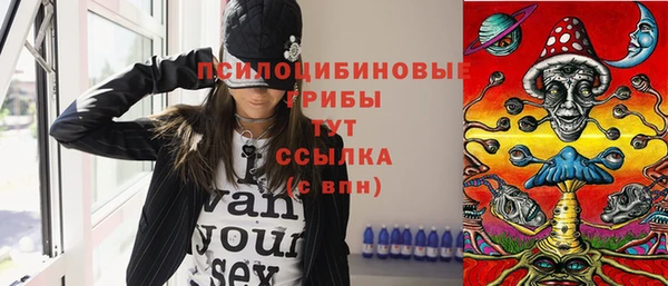 прущий лед Алзамай